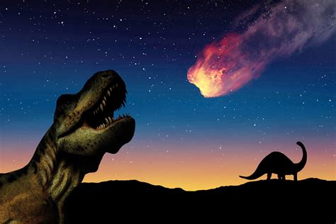 alluc crater|New theory behind Chicxulub impactor that killed the .
